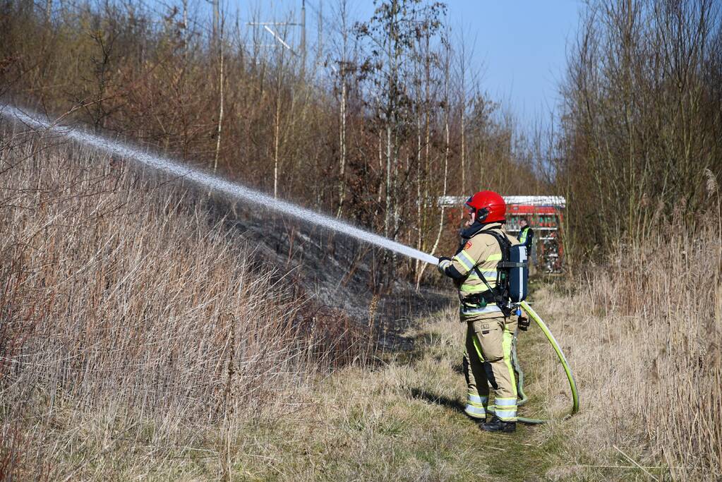 Enorm stuk riet langs spoor in brand