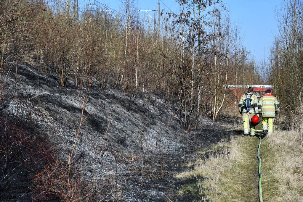 Enorm stuk riet langs spoor in brand