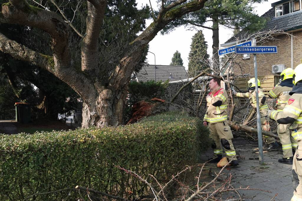 Boom valt op auto