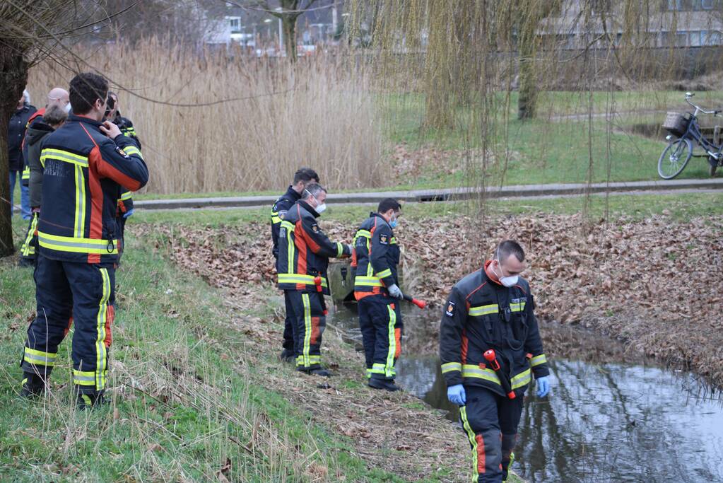 Zoektocht naar mogelijk een persoon te water