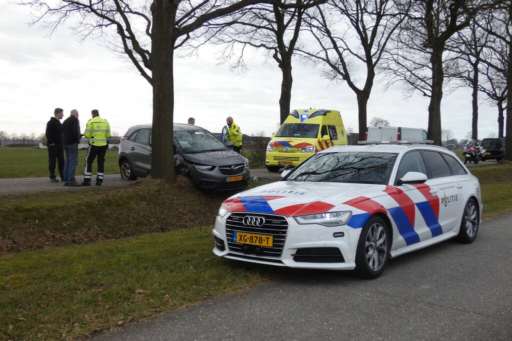 Auto tegen boom na uitwijkmanoeuvre