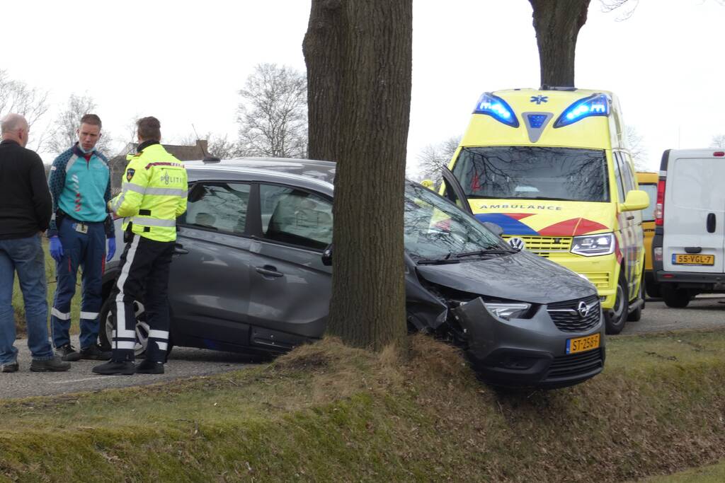 Auto tegen boom na uitwijkmanoeuvre