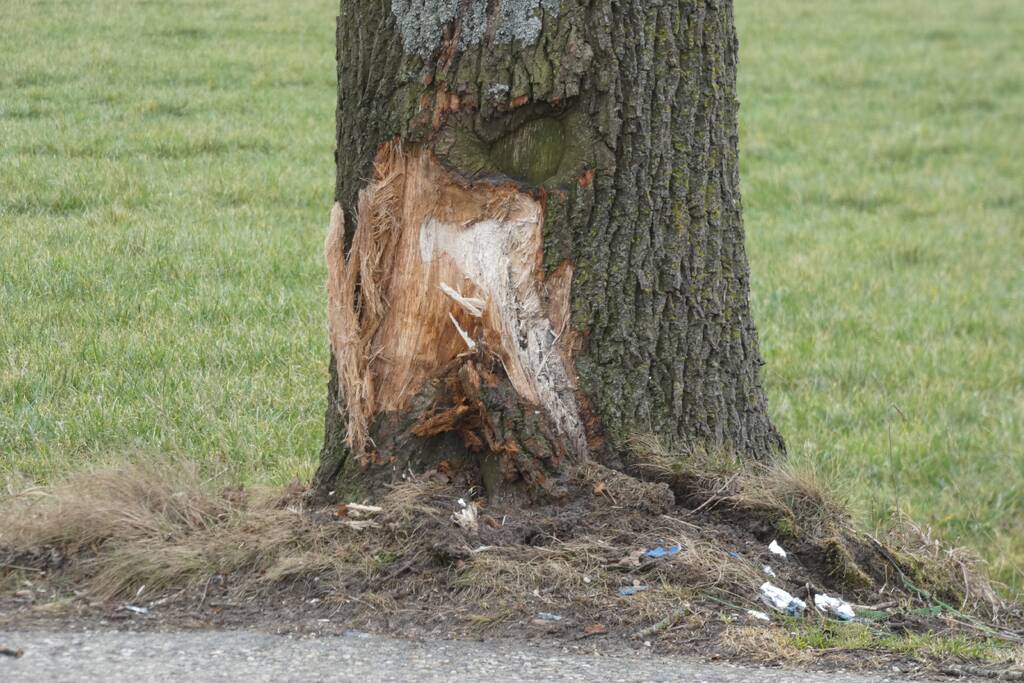 Auto tegen boom na uitwijkmanoeuvre