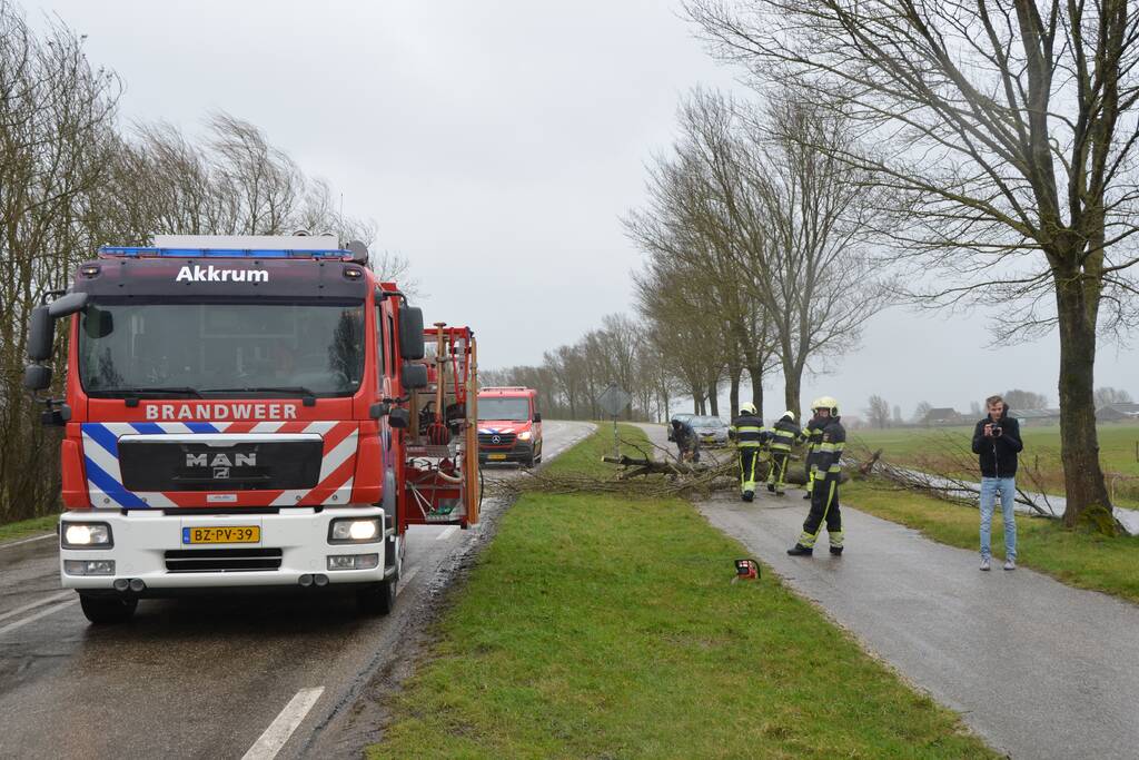 Omgewaaide boom blokkeert weg