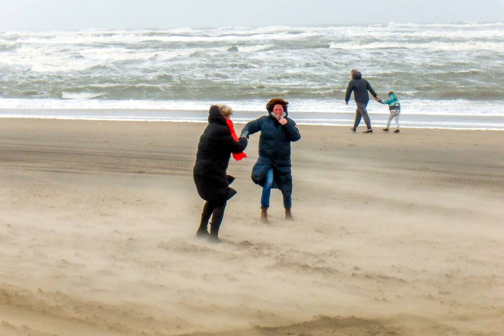 Genieten met windkracht negen aan zee