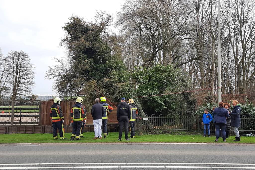 Boom omgewaaid door storm