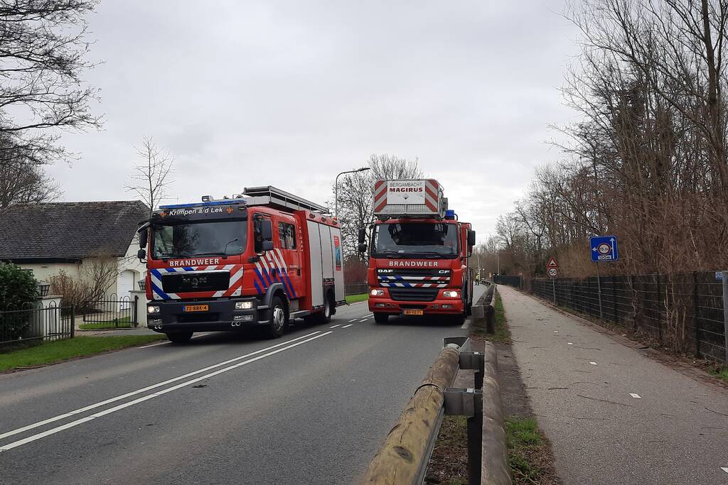 Boom omgewaaid door storm