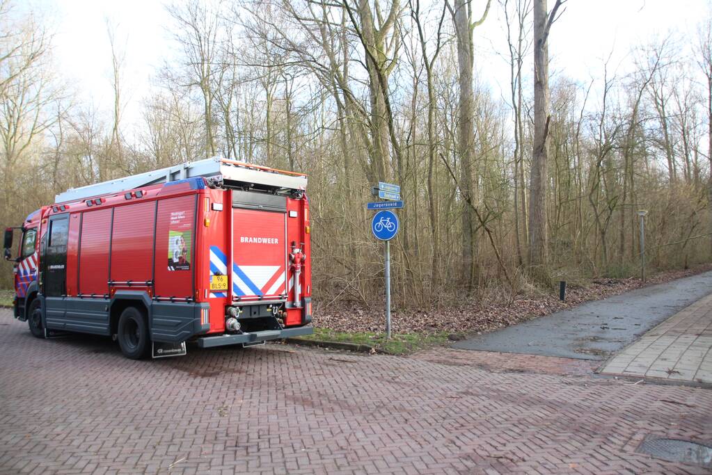 Gevaarlijk hangende tak over fietspad verwijderd