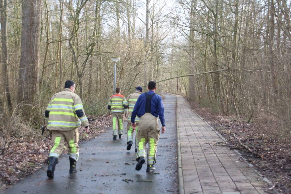 Gevaarlijk hangende tak over fietspad verwijderd