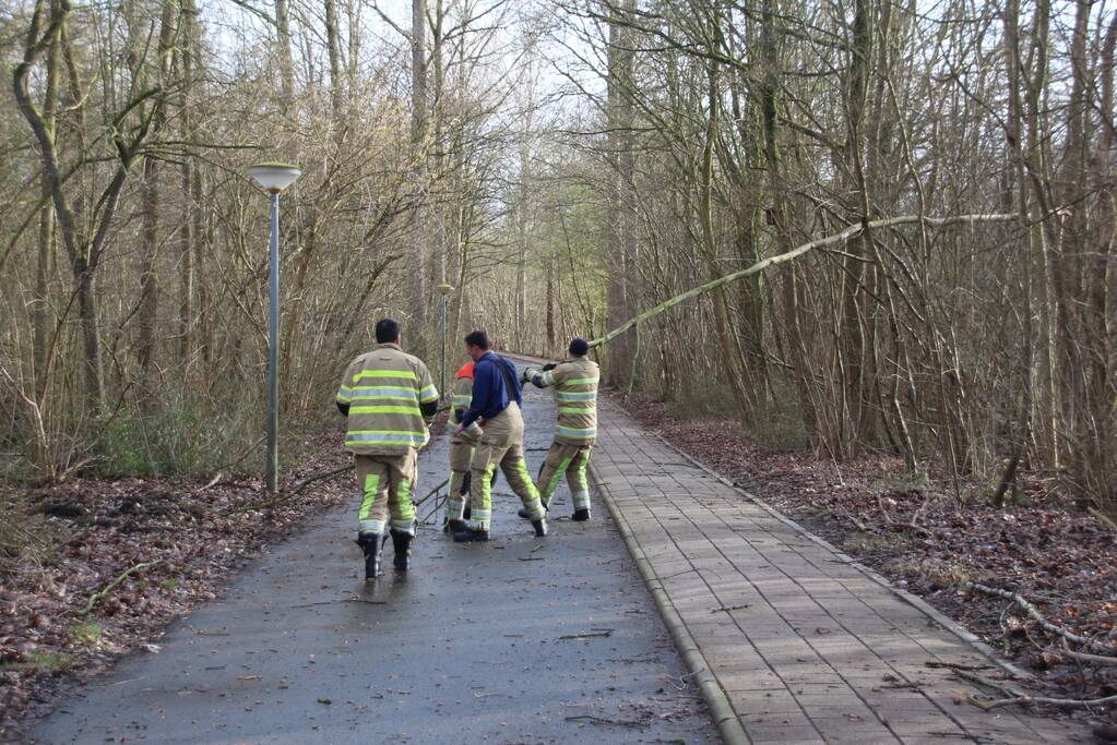 Gevaarlijk hangende tak over fietspad verwijderd