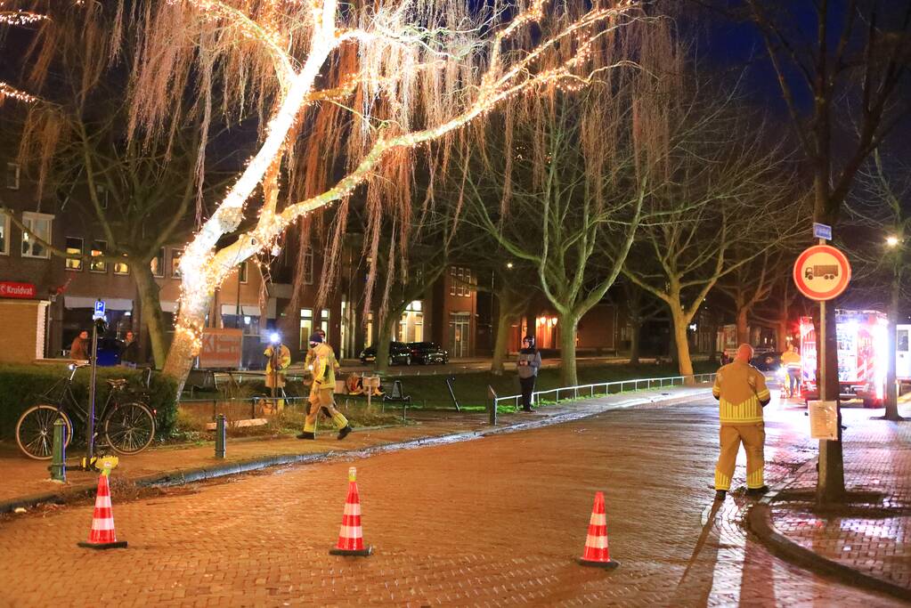 Instabiele boom omgezaagd door brandweer