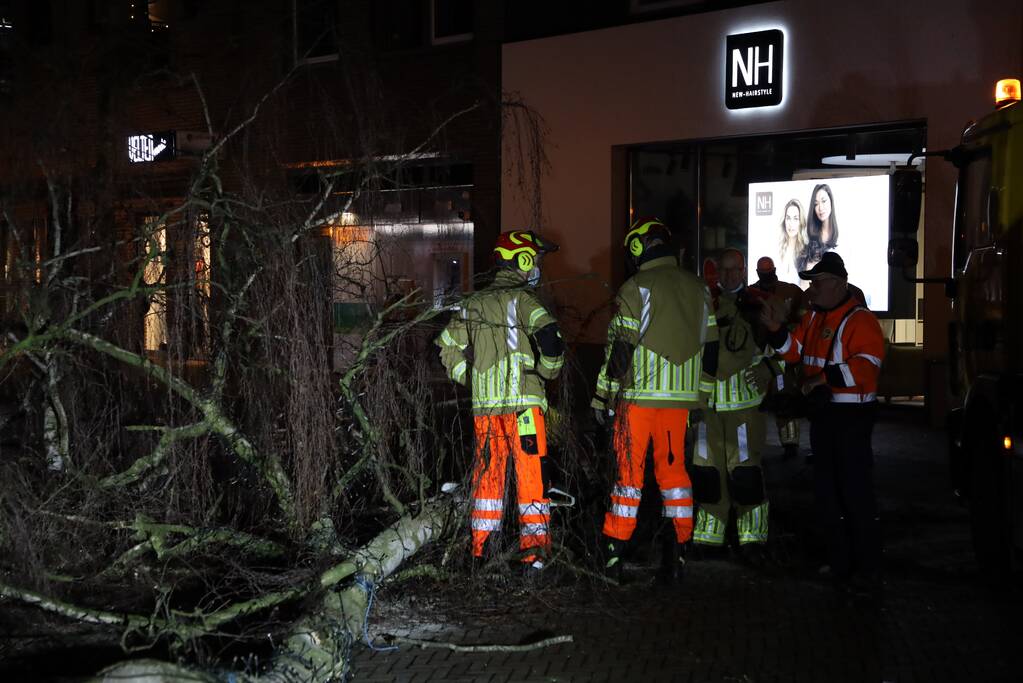 Instabiele boom omgezaagd door brandweer