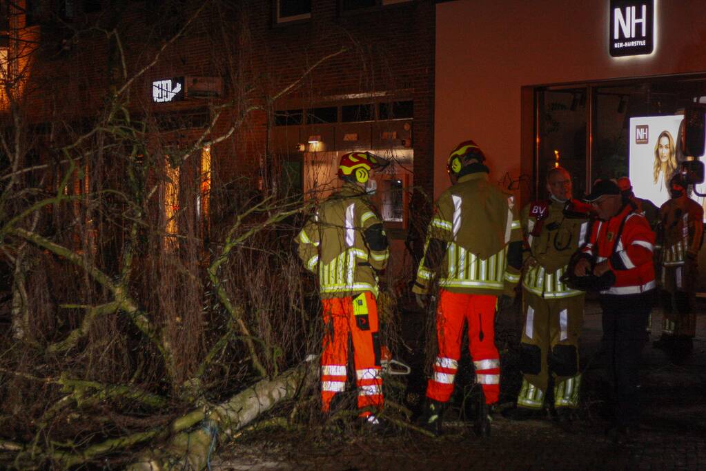 Instabiele boom omgezaagd door brandweer