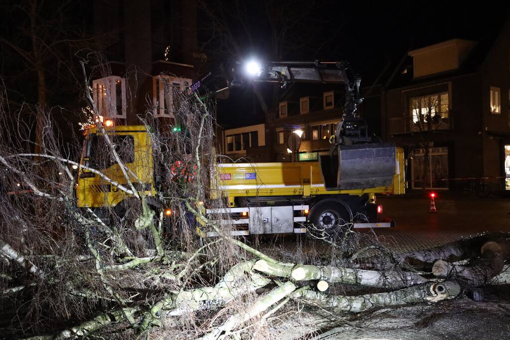Instabiele boom omgezaagd door brandweer