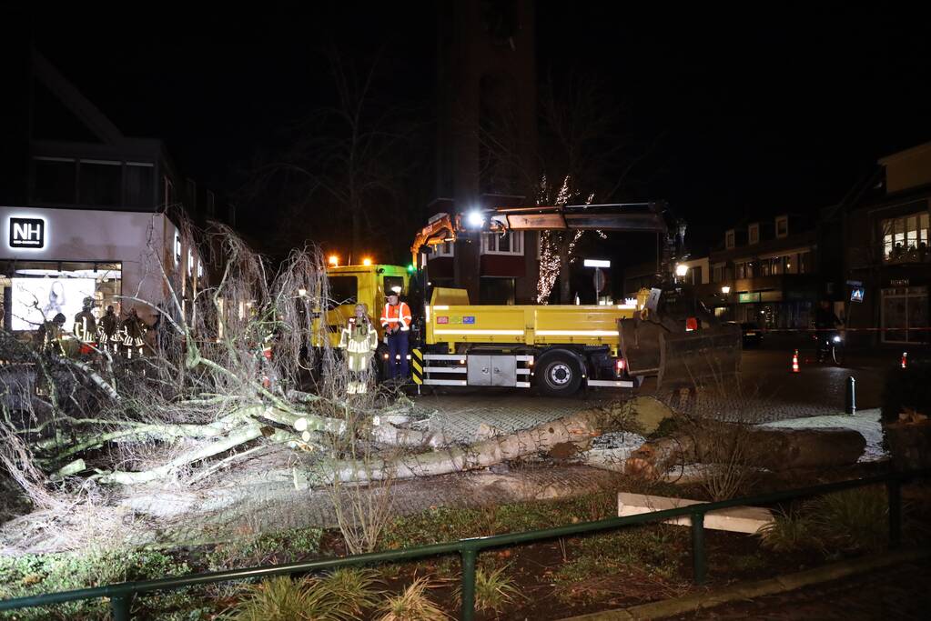 Instabiele boom omgezaagd door brandweer
