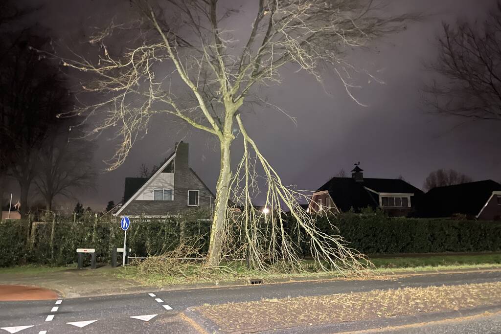 Brandweer verwijdert afgebroken takken