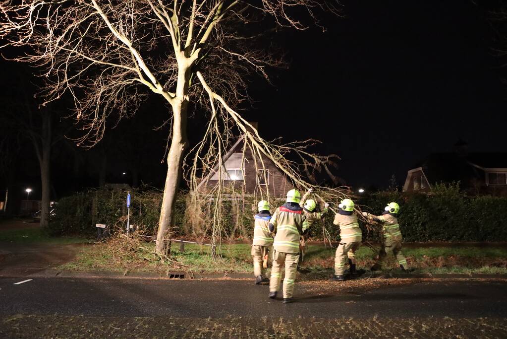 Brandweer verwijdert afgebroken takken