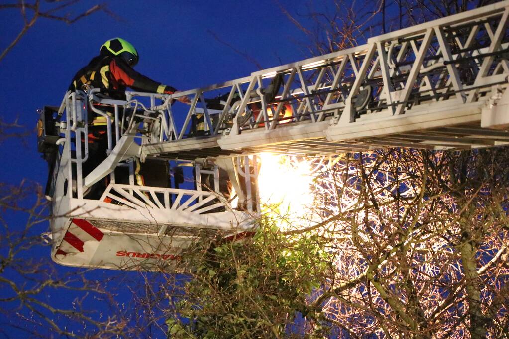 Brandweer zet boom vast met spanbanden