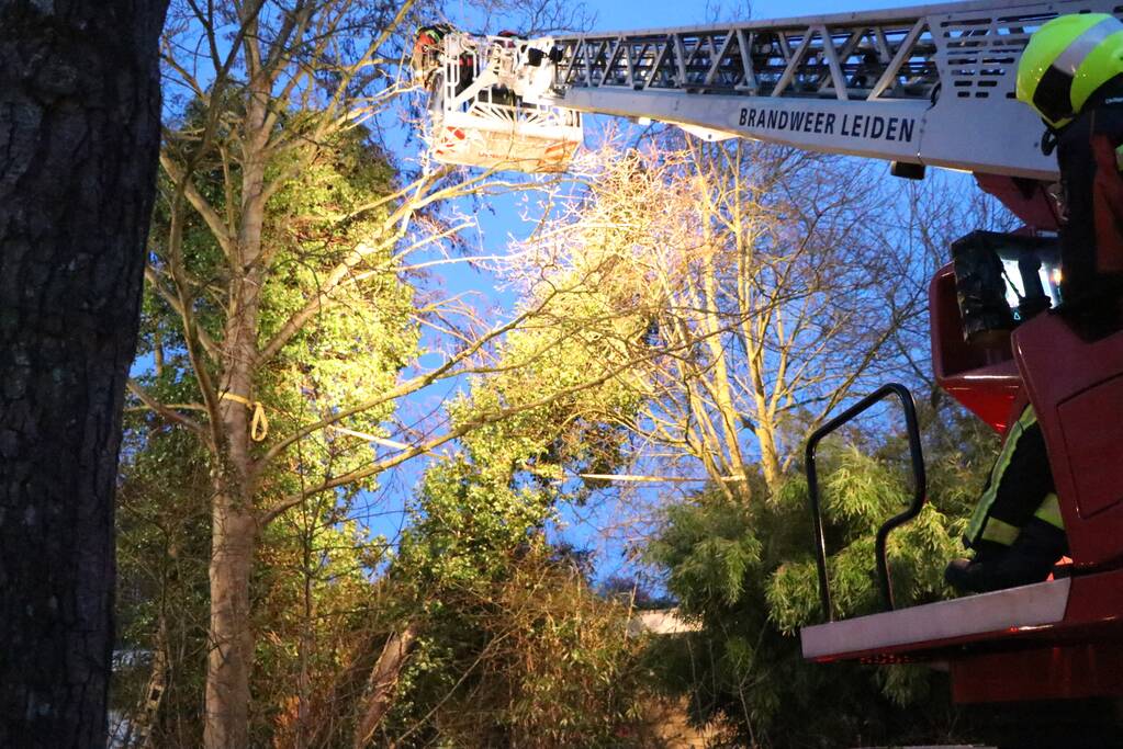 Brandweer zet boom vast met spanbanden