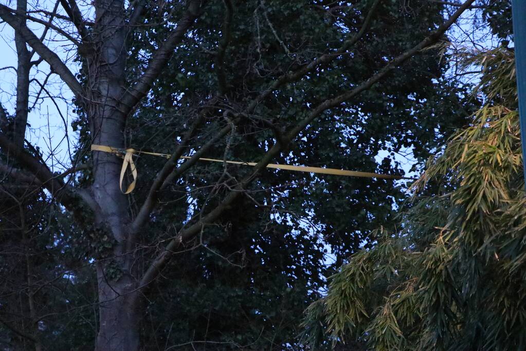 Brandweer zet boom vast met spanbanden