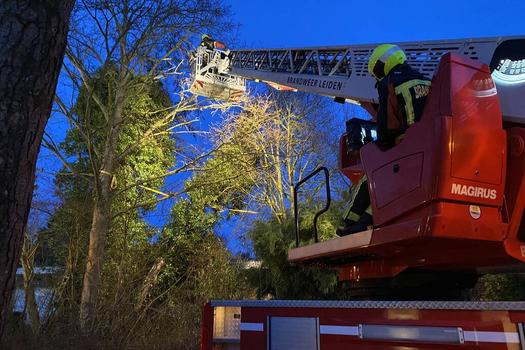 Brandweer zet boom vast met spanbanden