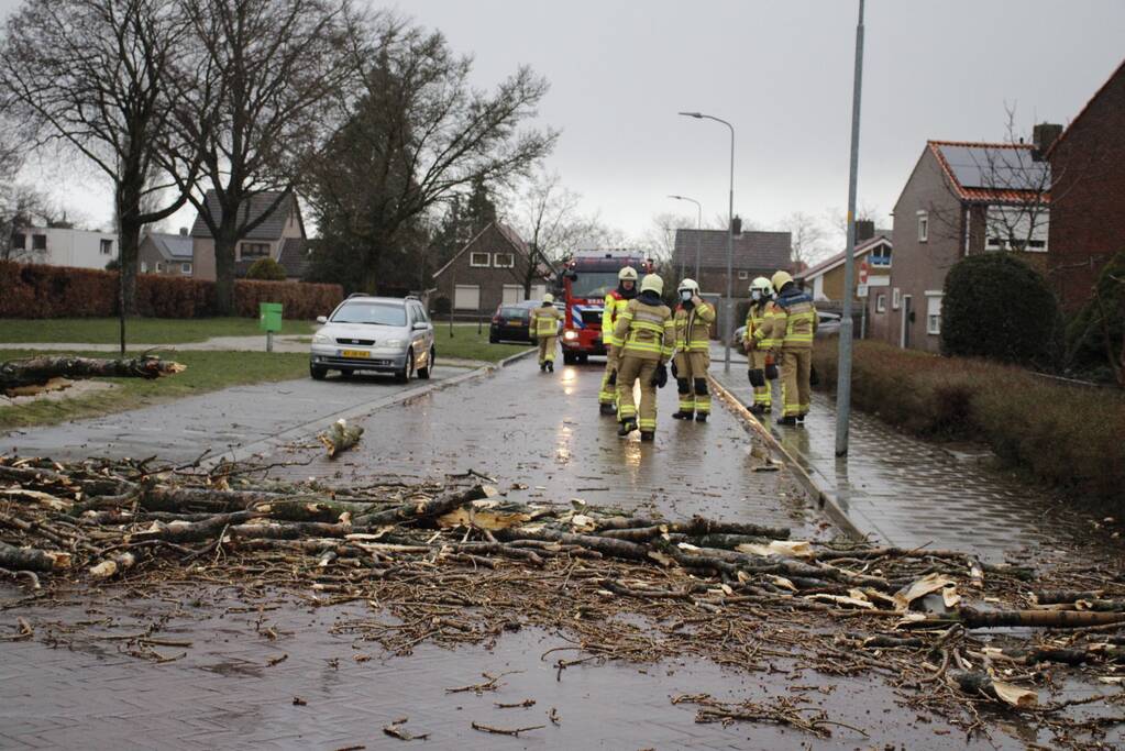 Grote boom valt over weg