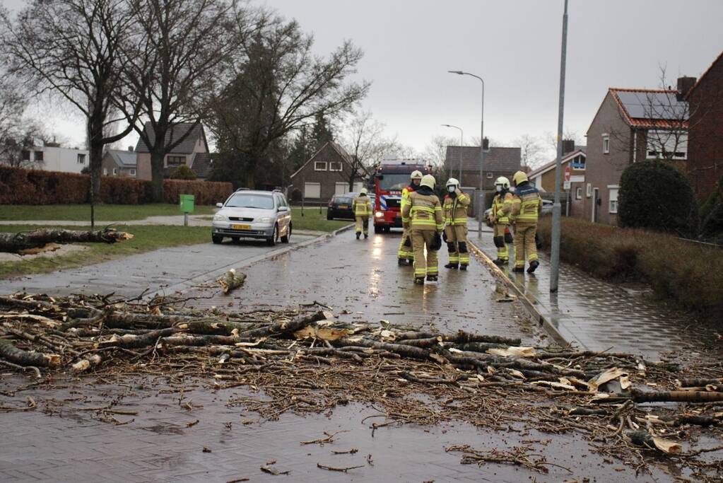 Grote boom valt over weg