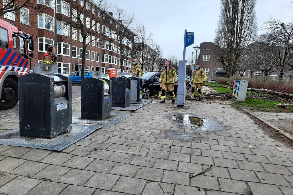Grote tak breekt af en valt op auto