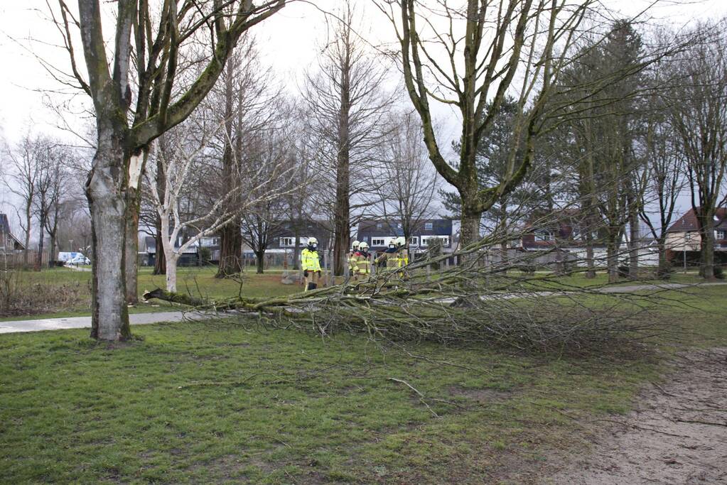 Brandweer zaagt boom in stukken