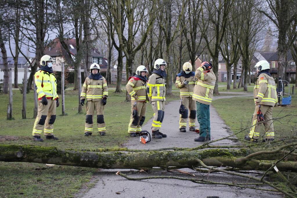 Brandweer zaagt boom in stukken
