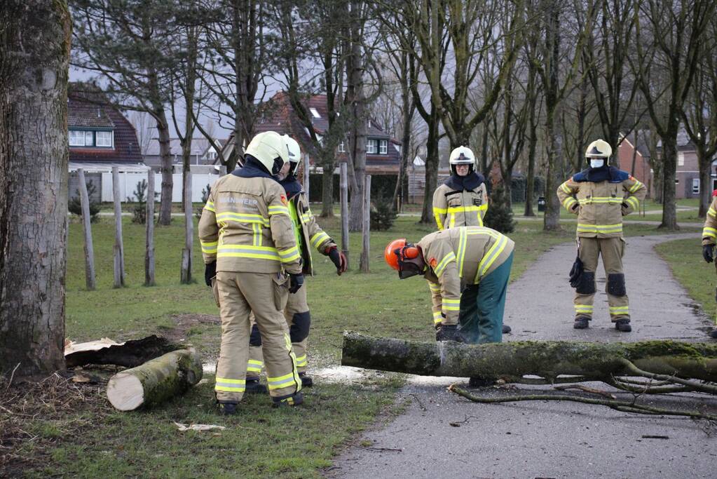 Brandweer zaagt boom in stukken