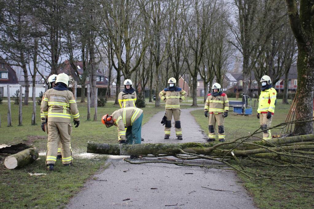 Brandweer zaagt boom in stukken