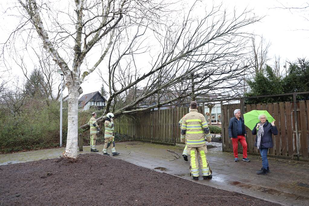 Brandweer zaagt omgevallen boom in stukken