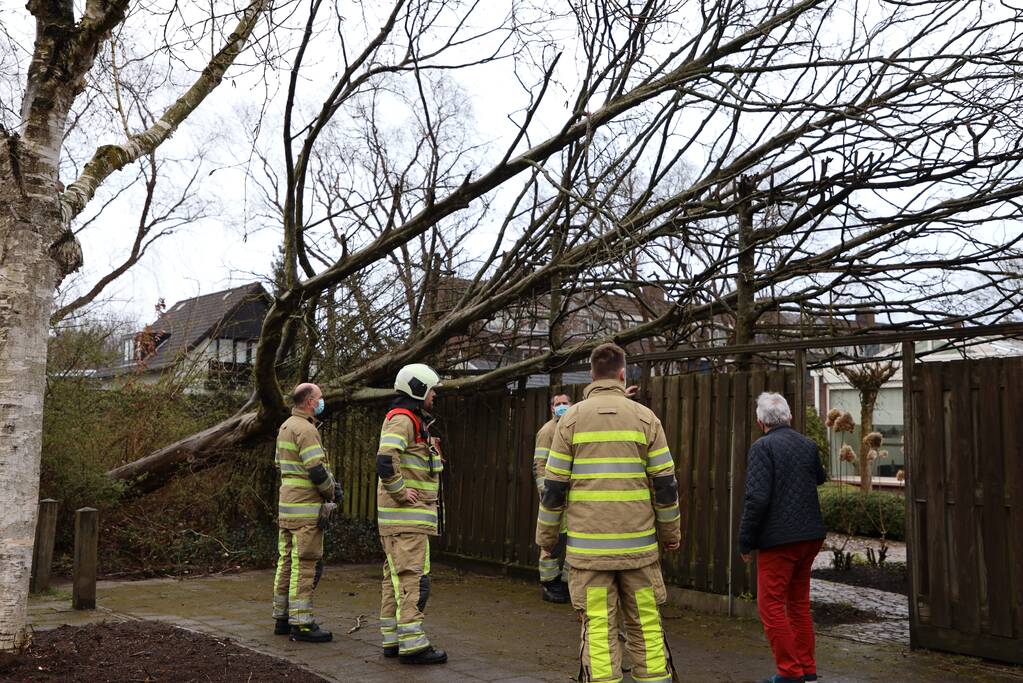 Brandweer zaagt omgevallen boom in stukken