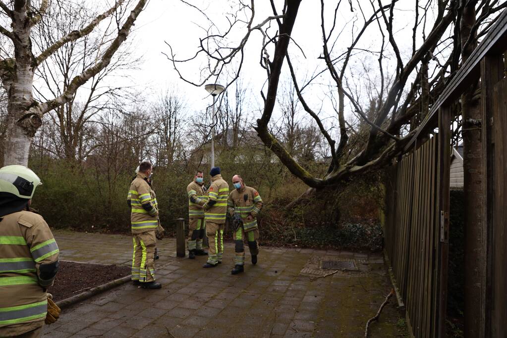 Brandweer zaagt omgevallen boom in stukken