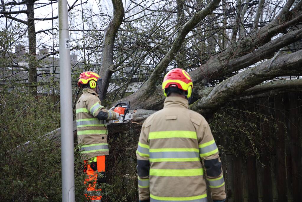 Brandweer zaagt omgevallen boom in stukken