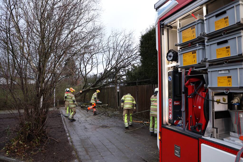 Brandweer zaagt omgevallen boom in stukken