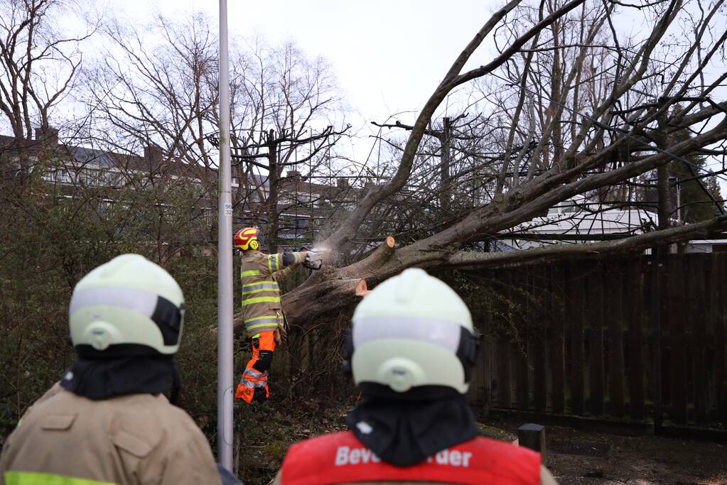 Brandweer zaagt omgevallen boom in stukken