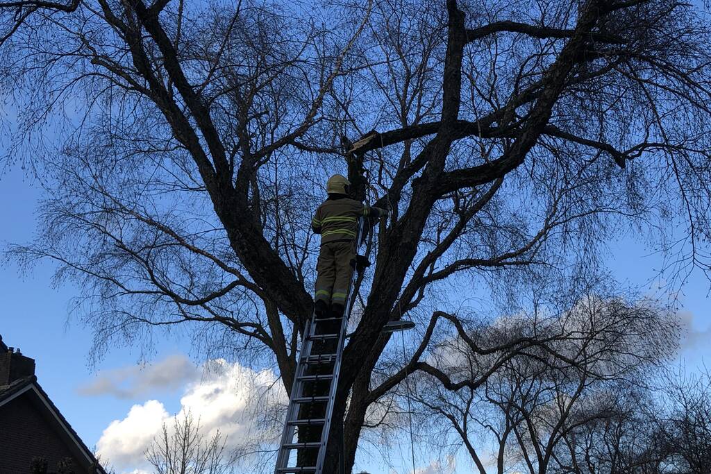 Brandweer haalt hangende tak weg