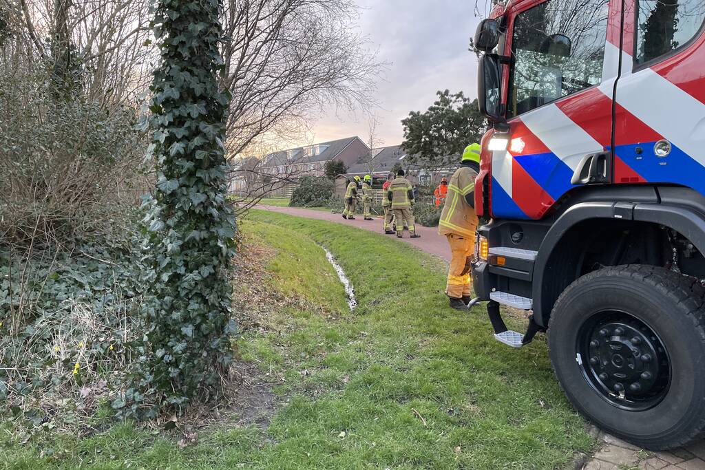 Boom dreigt om te vallen