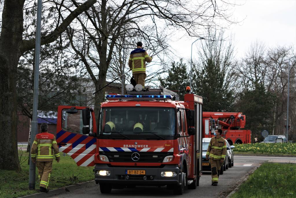 Gevaarlijk hangende tak verwijderd