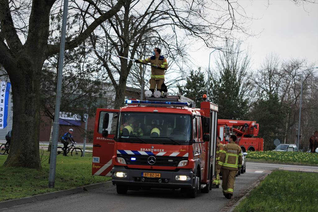 Gevaarlijk hangende tak verwijderd