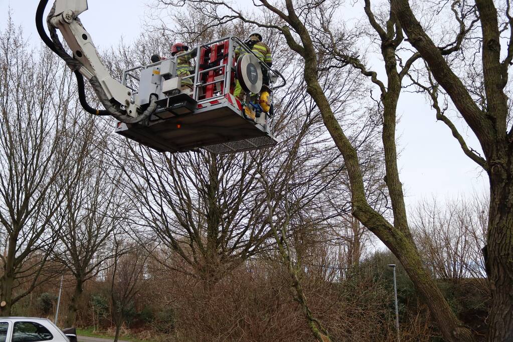 Gevaarlijk hangende tak door brandweer verwijderd