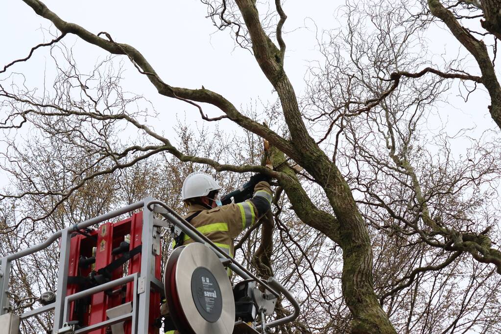 Gevaarlijk hangende tak door brandweer verwijderd
