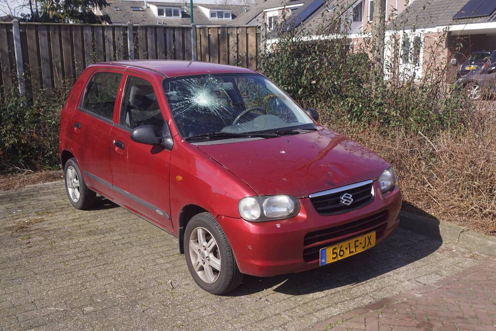 Auto's vernield op parkeerplaats