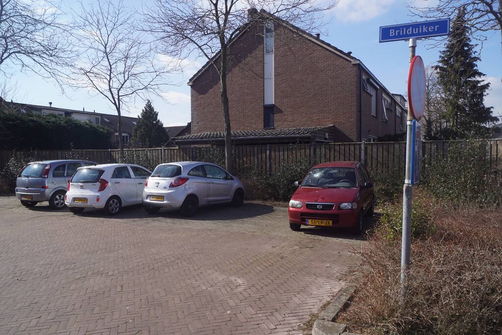 Auto's vernield op parkeerplaats