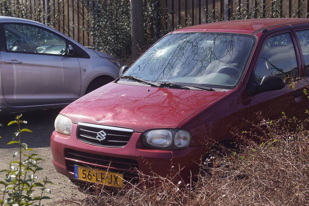 Auto's vernield op parkeerplaats