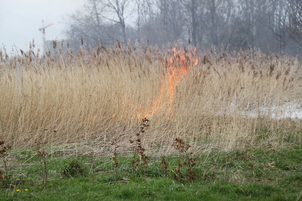 Stuk riet Meridiaanpark in brand