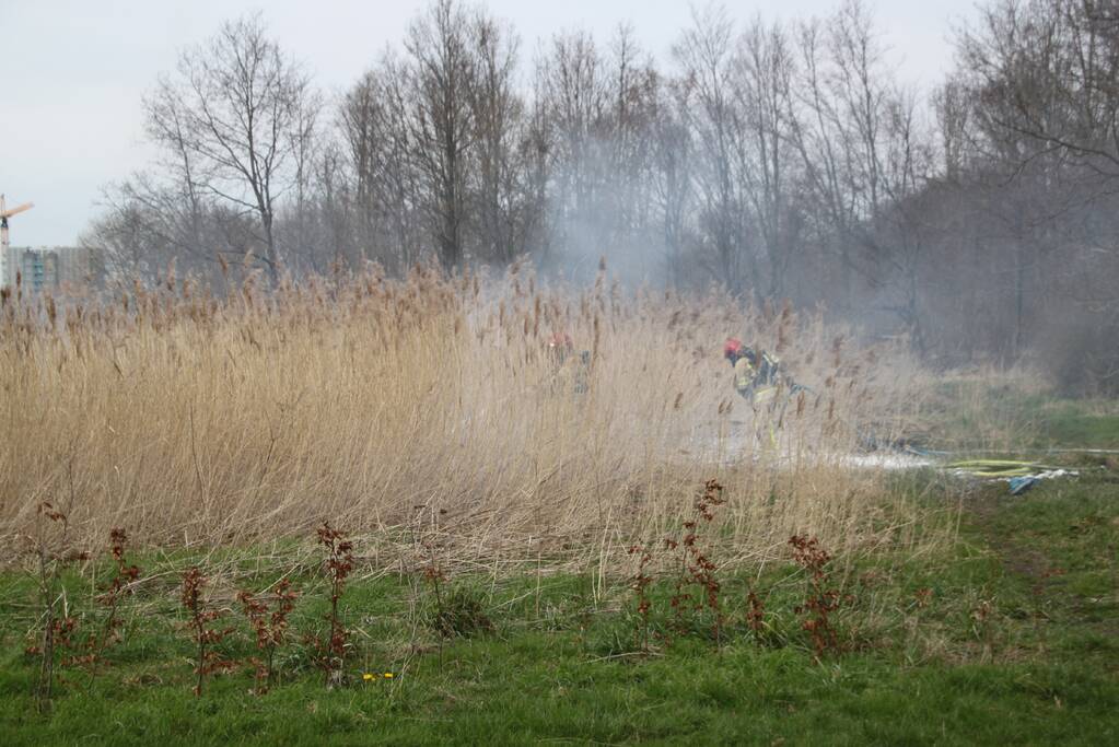 Stuk riet Meridiaanpark in brand