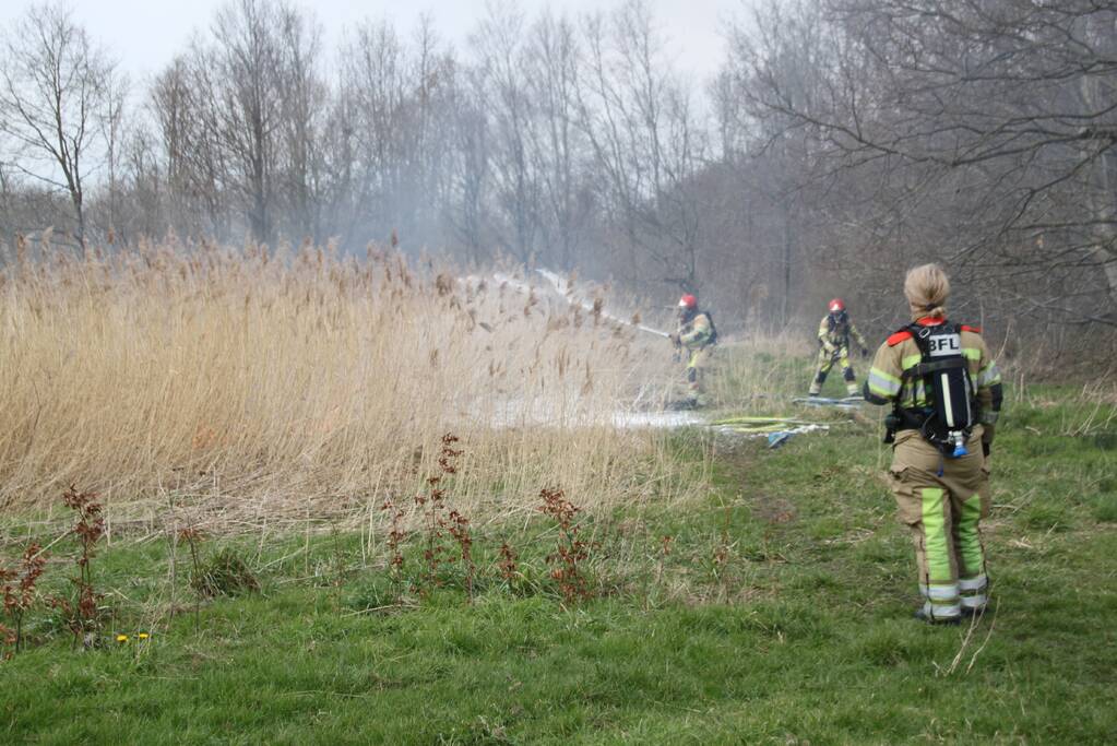 Stuk riet Meridiaanpark in brand